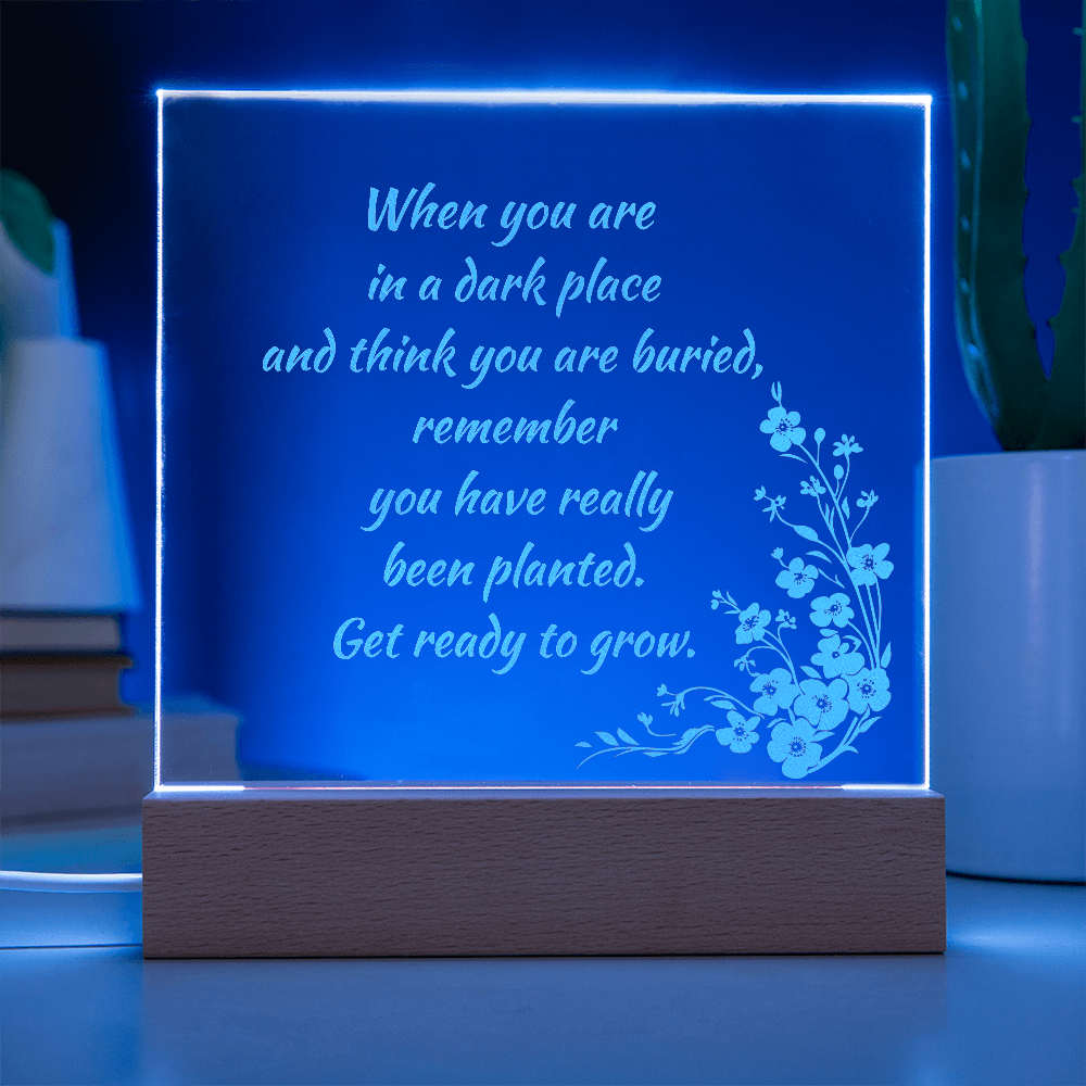 Engraved Acrylic Plaque or Nightlight: When you are in a dark place