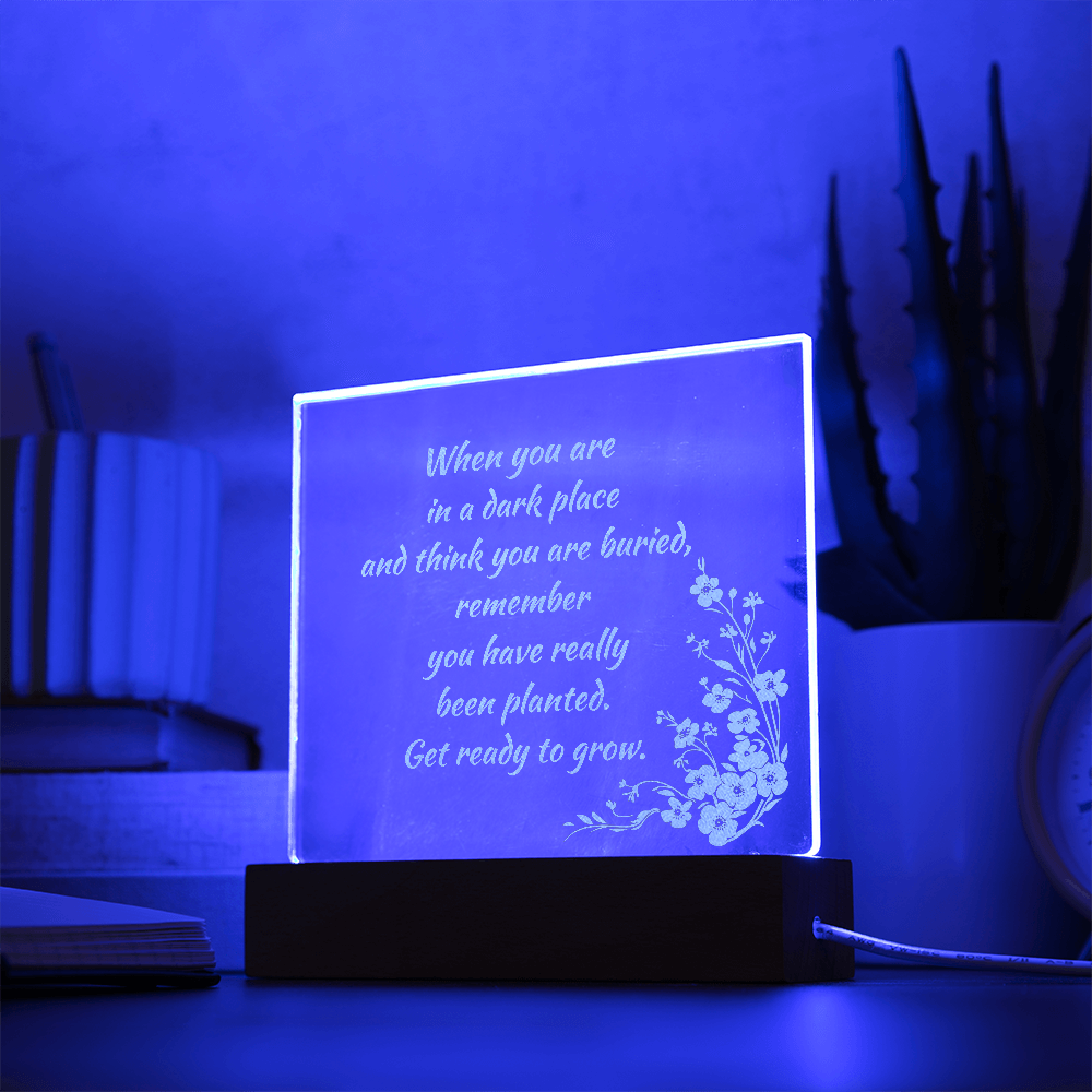 Engraved Acrylic Plaque or Nightlight: When you are in a dark place