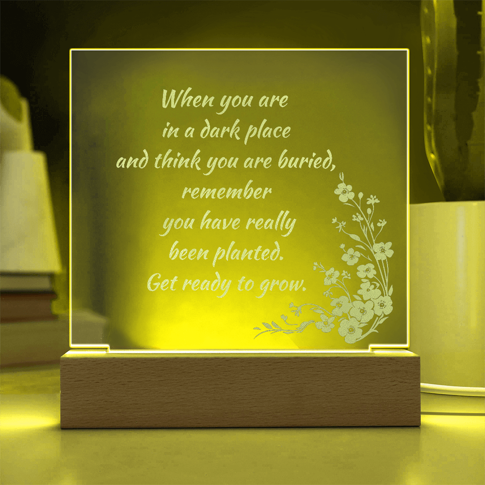 Engraved Acrylic Plaque or Nightlight: When you are in a dark place