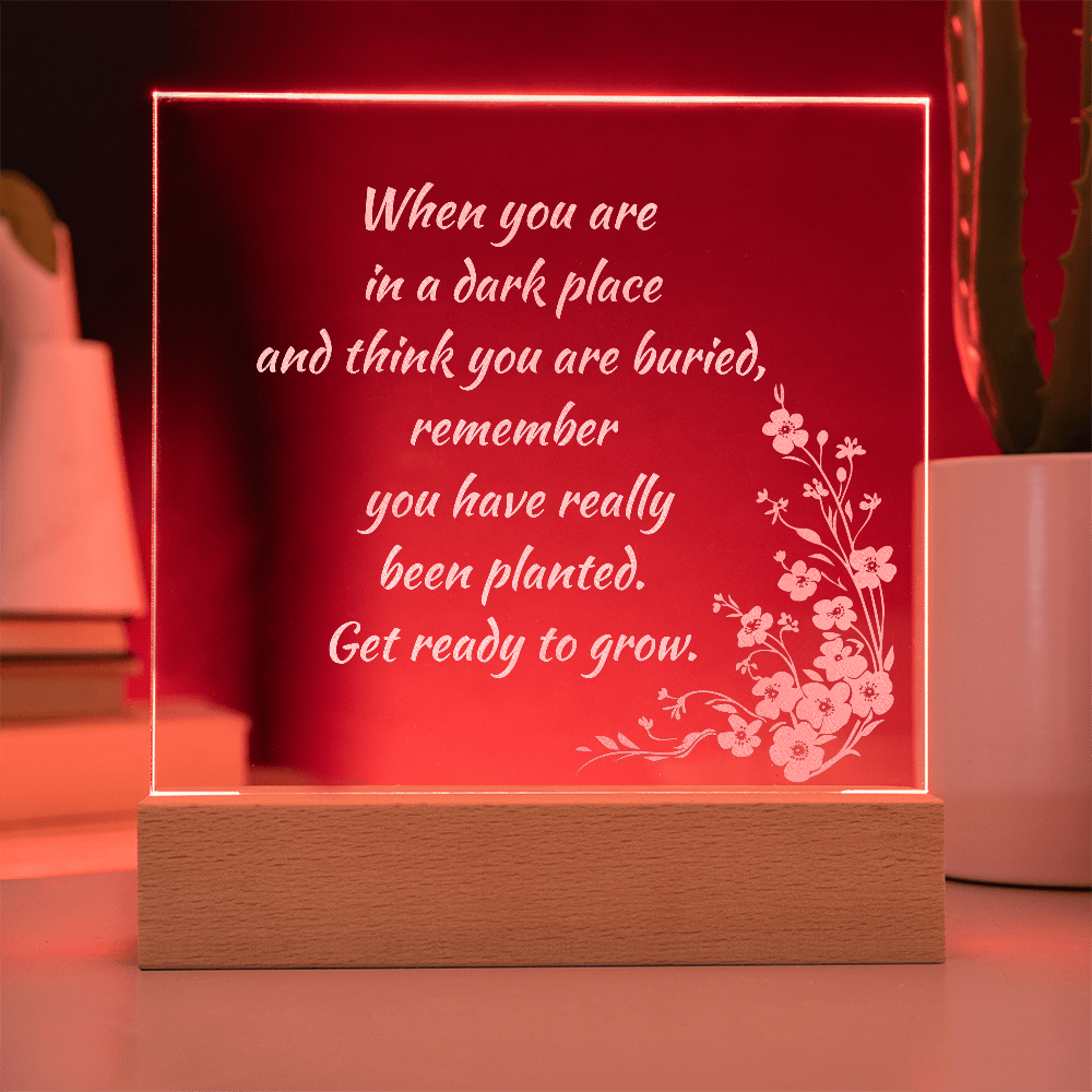 Engraved Acrylic Plaque or Nightlight: When you are in a dark place