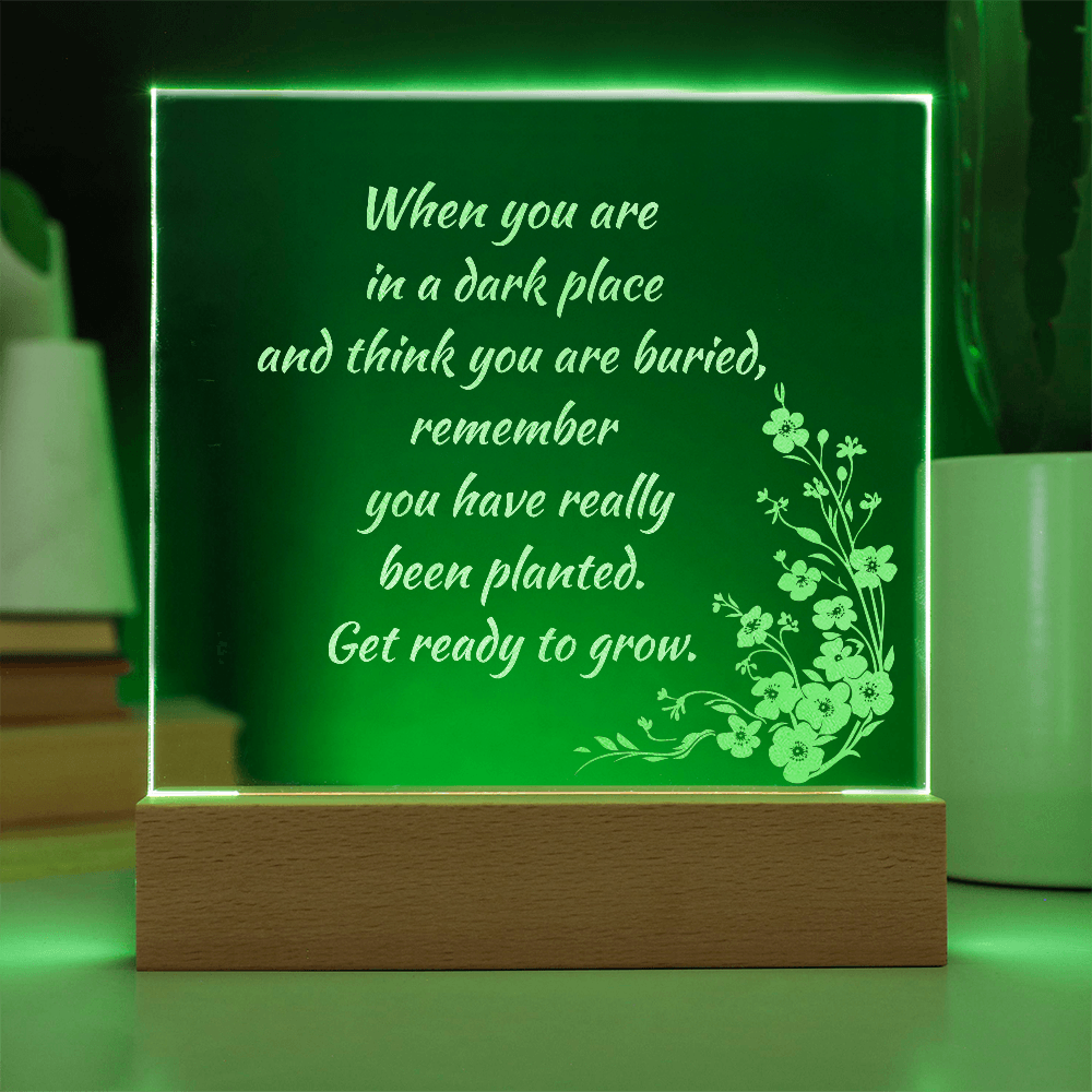 Engraved Acrylic Plaque or Nightlight: When you are in a dark place
